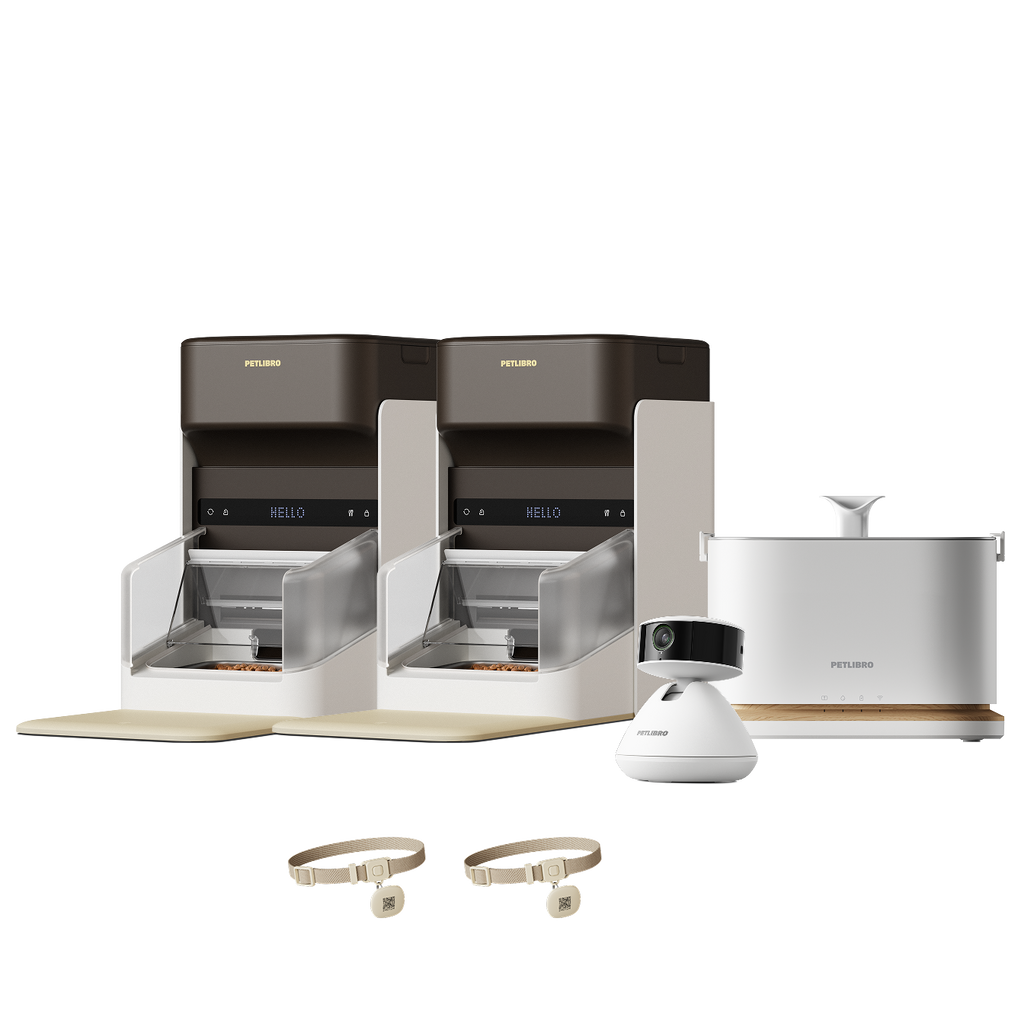 One RFID Smart Feeder & Dockstream 2 Smart Cordless Fountain & Scout Smart Camera #1