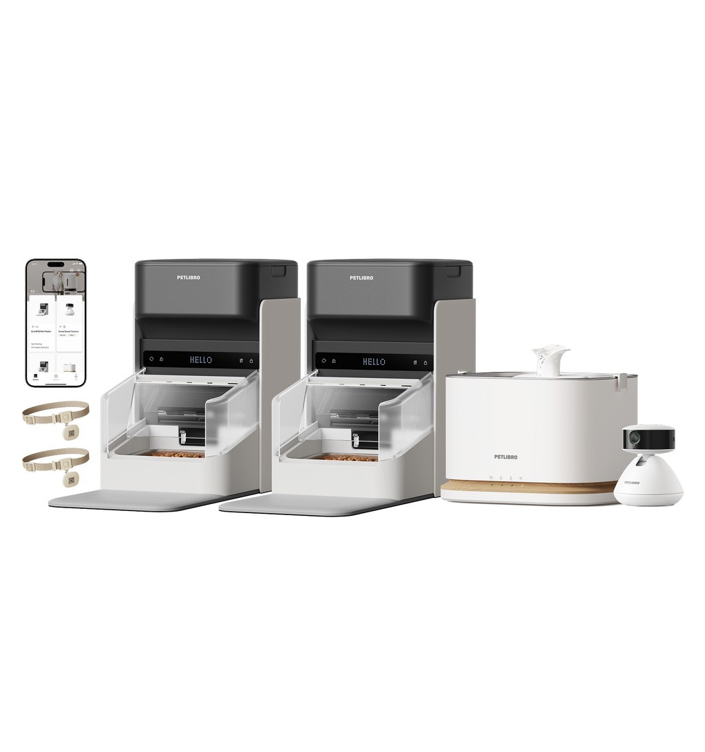 One RFID Smart Feeder & Dockstream 2 Smart Cordless Fountain & Scout Smart Camera #1