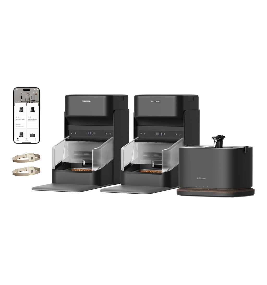 RFID Smart Feeder & Dockstream 2 Smart Cordless Fountain Bundle
