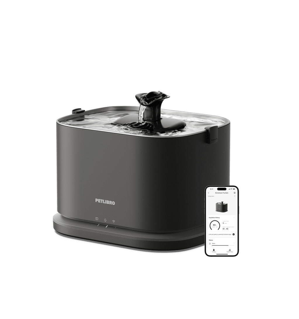 Dockstream 2 Smart Fountain