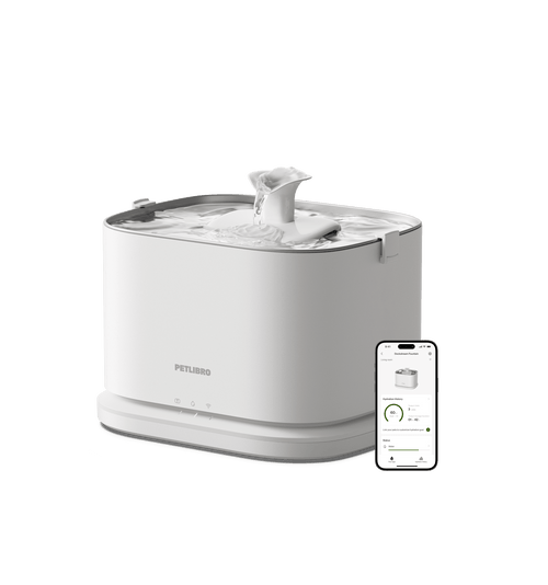 Dockstream 2 Smart Fountain
