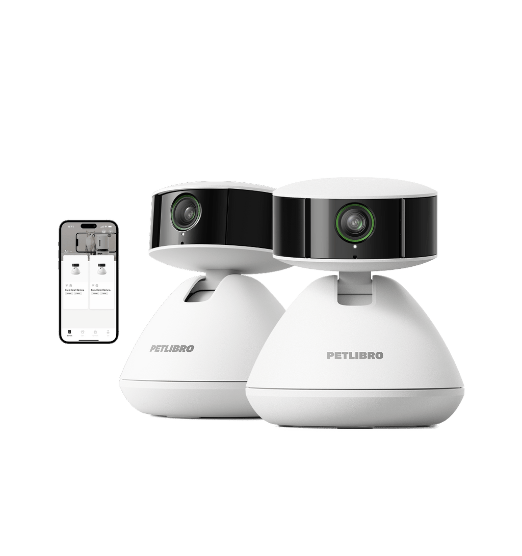 🎁 Scout Smart Camera (100% off)