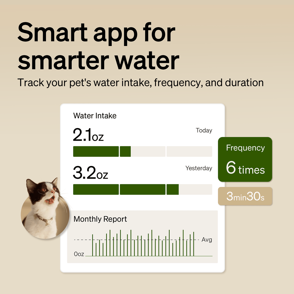 RFID Smart Dining Bundle
