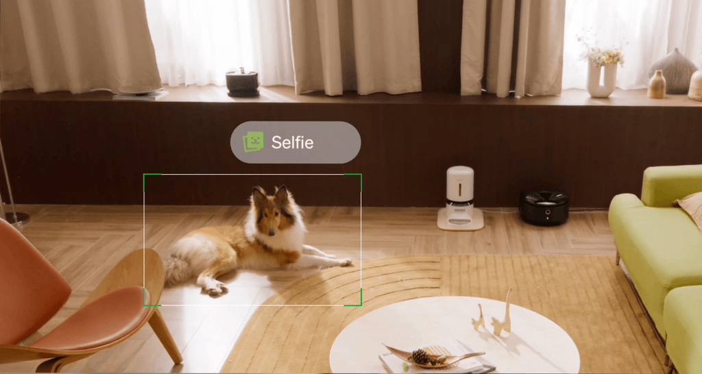 Petlibro Video Cloud AI